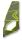 2025 Severne S-1 Gumnut Green 4,4 + 4,6 + 4,8 + 5,0 + 5,2 + 5,6